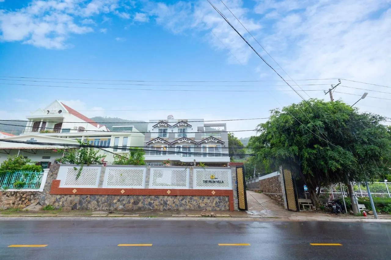 Palm Villa 39 - Luxury Free Bida & Karaoke Vung Tau 0*,  Vietnam